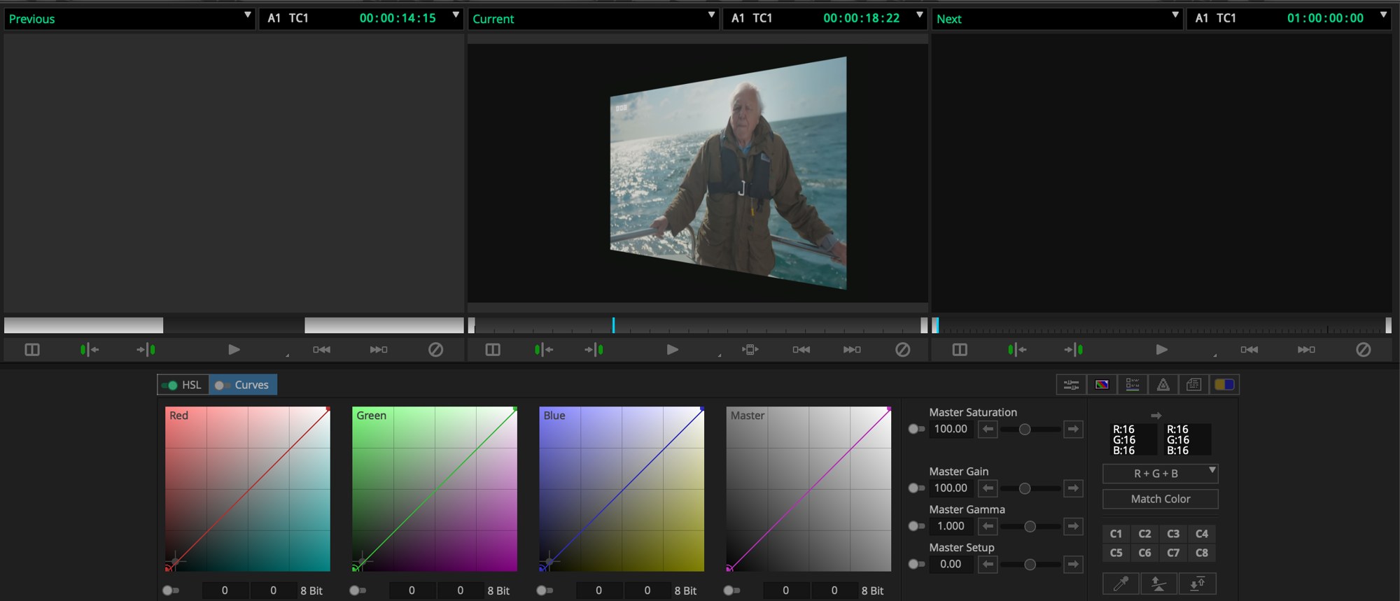 The Color Correction tool in Avid First, with RGB curves under a frame from Attenborough and the Giant Sea Monster