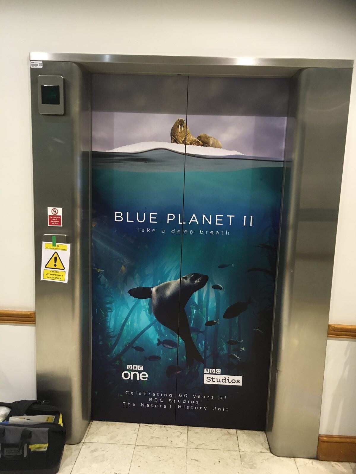 A BBC lift wrapped in Blue Planet II artwork, a sea lion swimming through kelp below walruses on the ice, with an out of order sign beside it