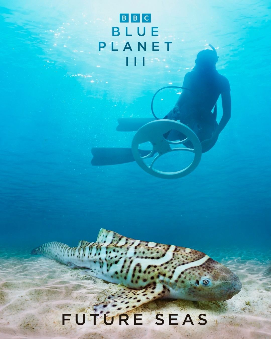 BBC poster for Blue Planet III, Future Seas: a freediver in an underwater wheelchair gliding above a zebra shark on white sand